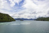 217 - Überfahrt Nordinsel zur Südinsel