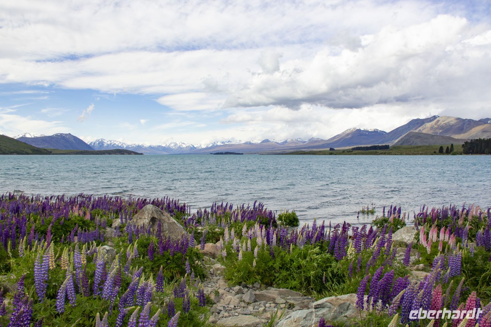 232 - Lake Tekapo