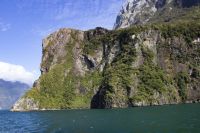 318 - Milford Sound