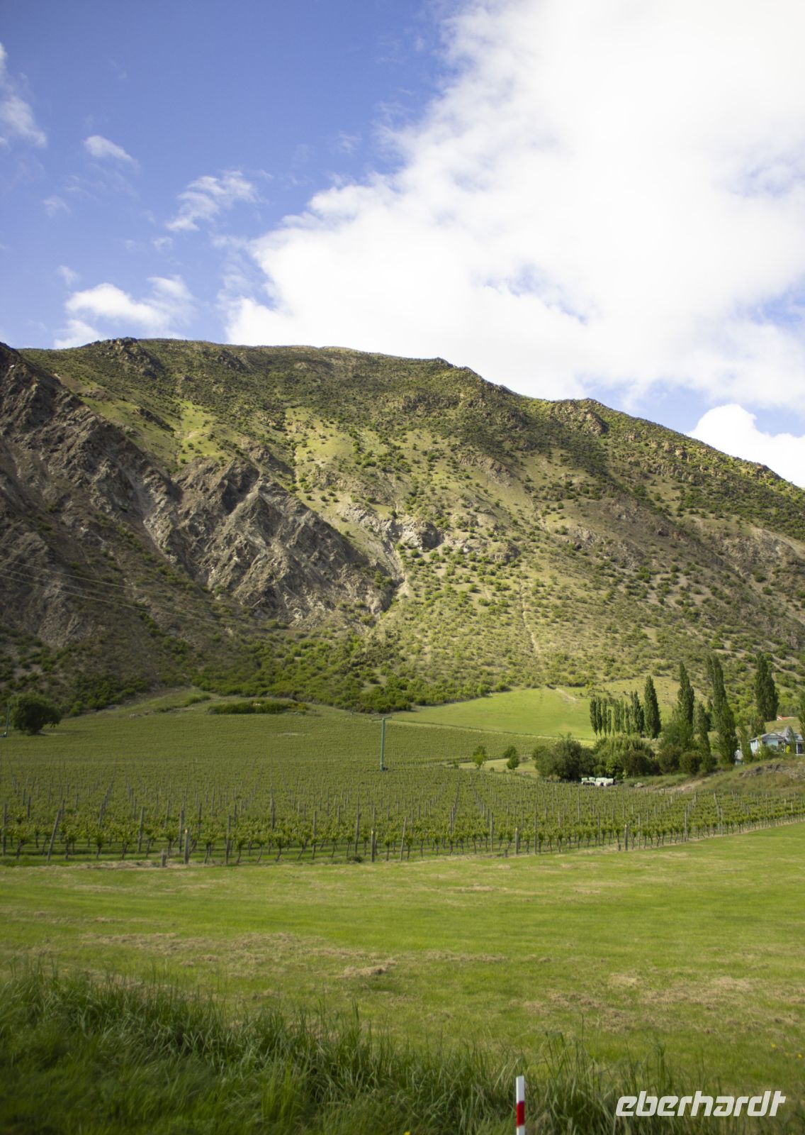 396 - Weinanbaugebiet