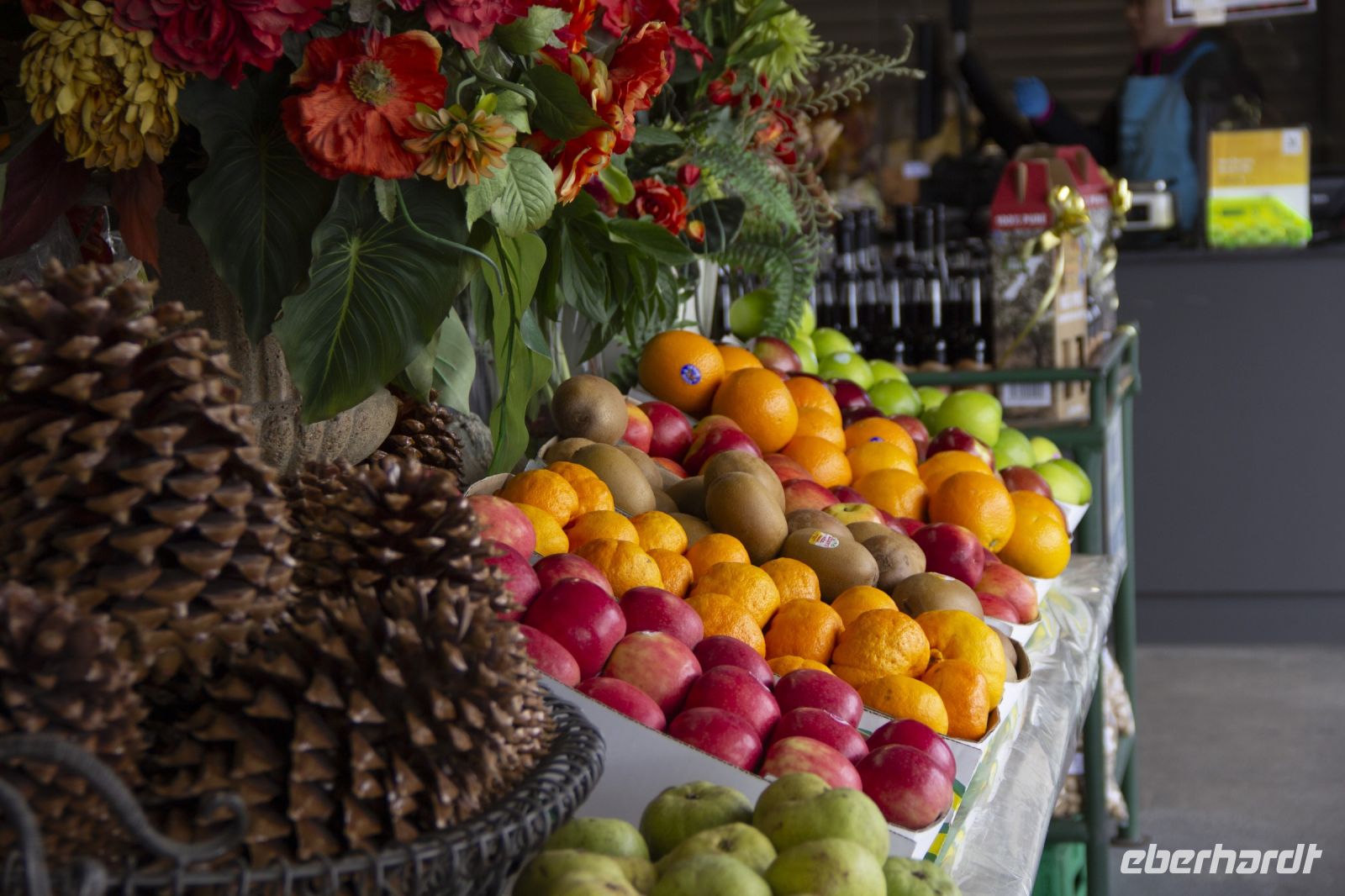 401 - Mrs Jones Rosengarten