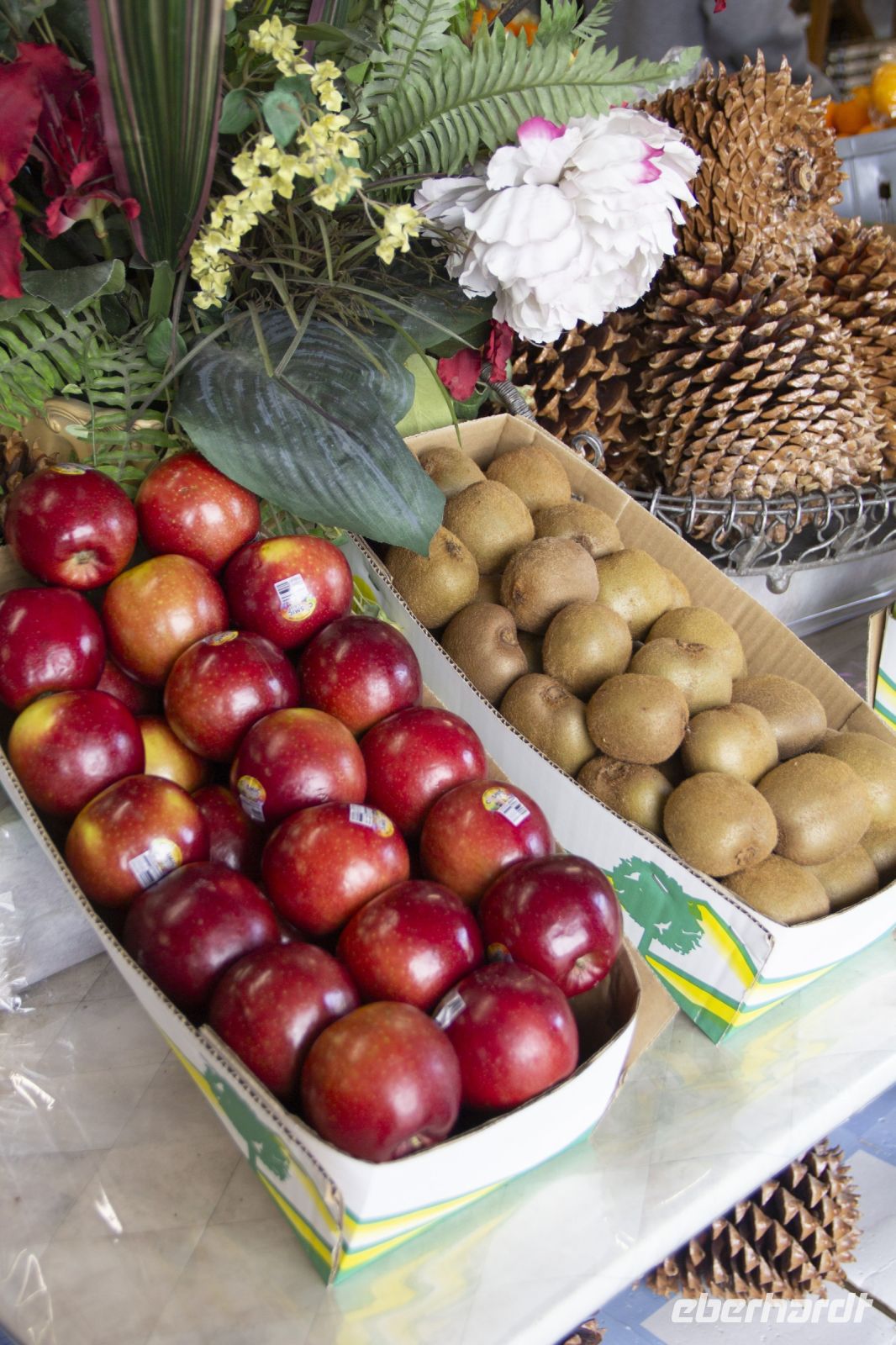 402 - Mrs Jones Rosengarten