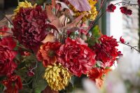 403 - Mrs Jones Rosengarten