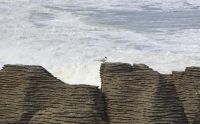 441 - Pancake Rocks