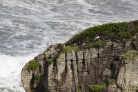 446 - Pancake Rocks