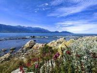Der Blick aus unseren Zimmern in Kaikoura ist fantastisch