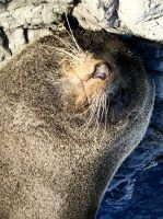 Stör bloß nicht meine Ruhepause :-)