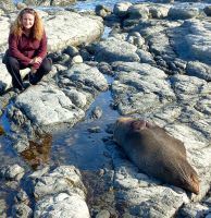 Reisebegleiterin Simone und die schlafende Robbe in Kaikoura