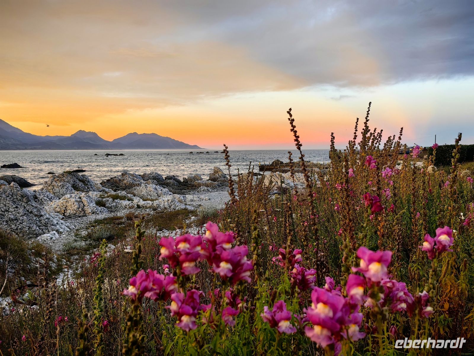 Farbspiel am Strand von Kaikoura