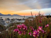 Farbspiel am Strand von Kaikoura