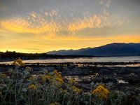 Neuseeland heißt bei den Maori Aotearoa - das Land der langen weißen Wolke - jetzt wissen wir warum