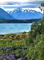 Schneebedeckte Berge der Südalpen hinter dem Lake Tekapo