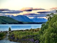 Lake Tekapo am Abend