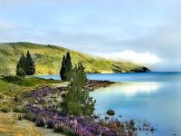 Morgenstimmung am Lake Tekapo
