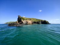 Albatrosinsel in Dunedin