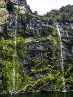 Wasserfälle sind charakteristisch für den Milford Sound