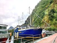 Unser Schiff im Milford Sound
