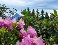 Ausblick auf Queenstown vom Hotelbalkon aus
