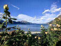 Blick von der Walters Peak Farm in Richtung Queenstown