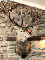 Neuseeländische Weihnachtsdekoration im Cardrona Hotel