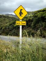 Vorsicht Pinguin Schild auf der Straße nach Punakaiki