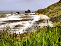 Tasmansee auf der Straße von Greymouth nach Punakaiki