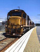 Der Trans Alpine Zug nach Christchurch