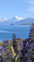 20241228_2 Mount Cook.jpg
