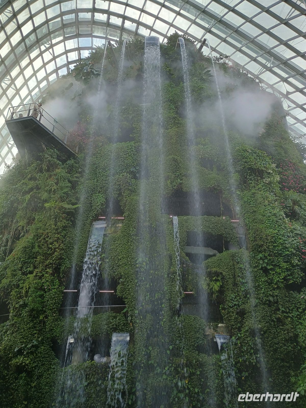 Singapur - Cloud Forest
