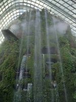 Singapur - Cloud Forest