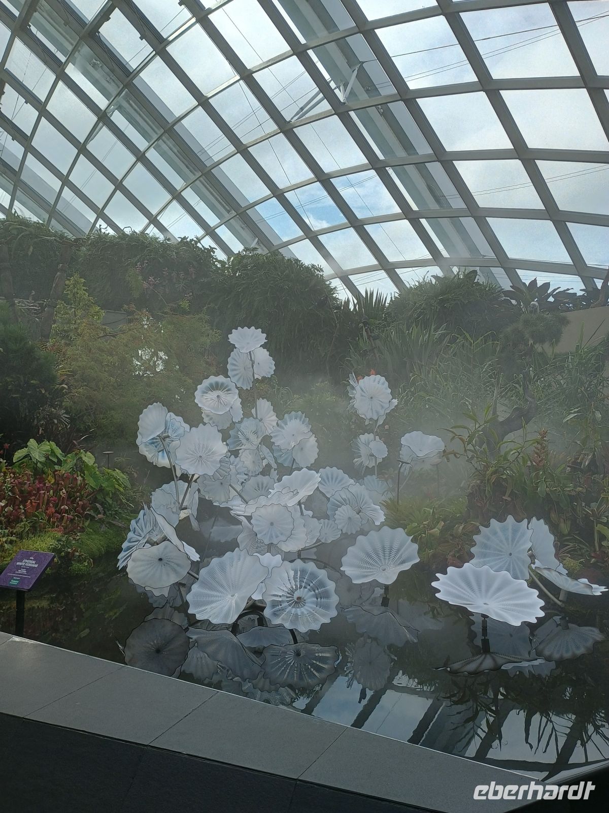 Singapur - Cloud Forest