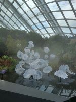 Singapur - Cloud Forest