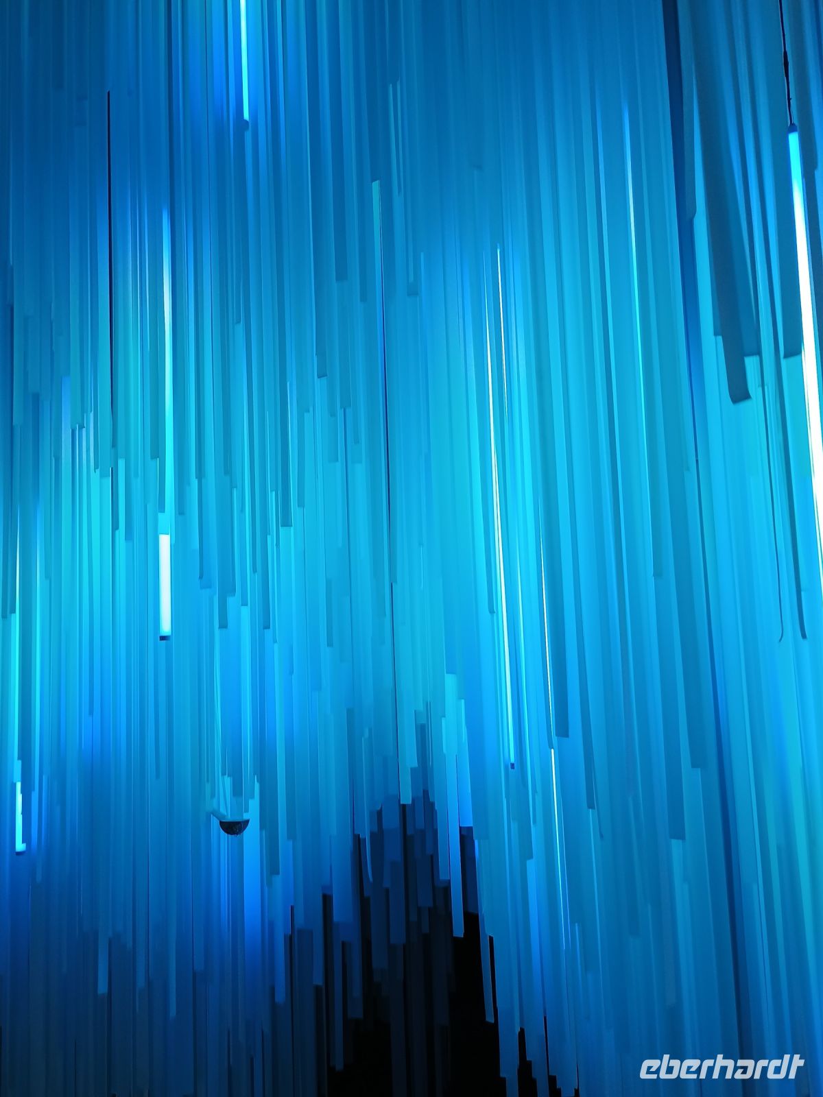 Singapur - Cloud Forest