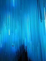 Singapur - Cloud Forest