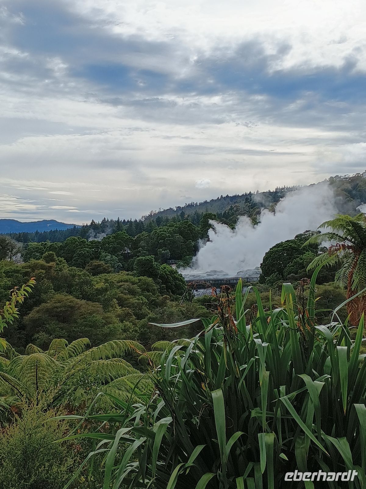 Rotorua