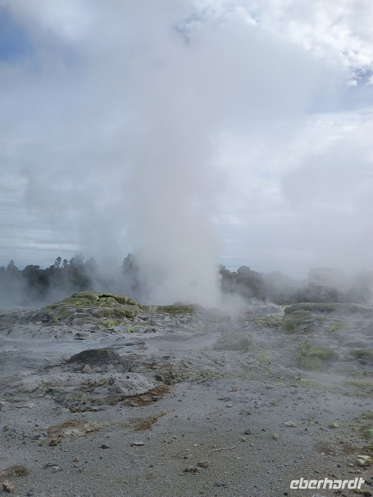 Rotorua