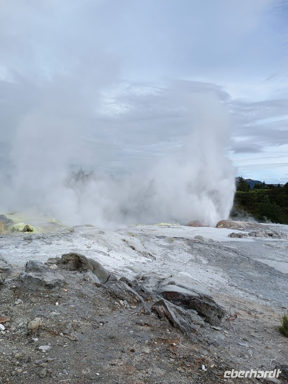 Rotorua