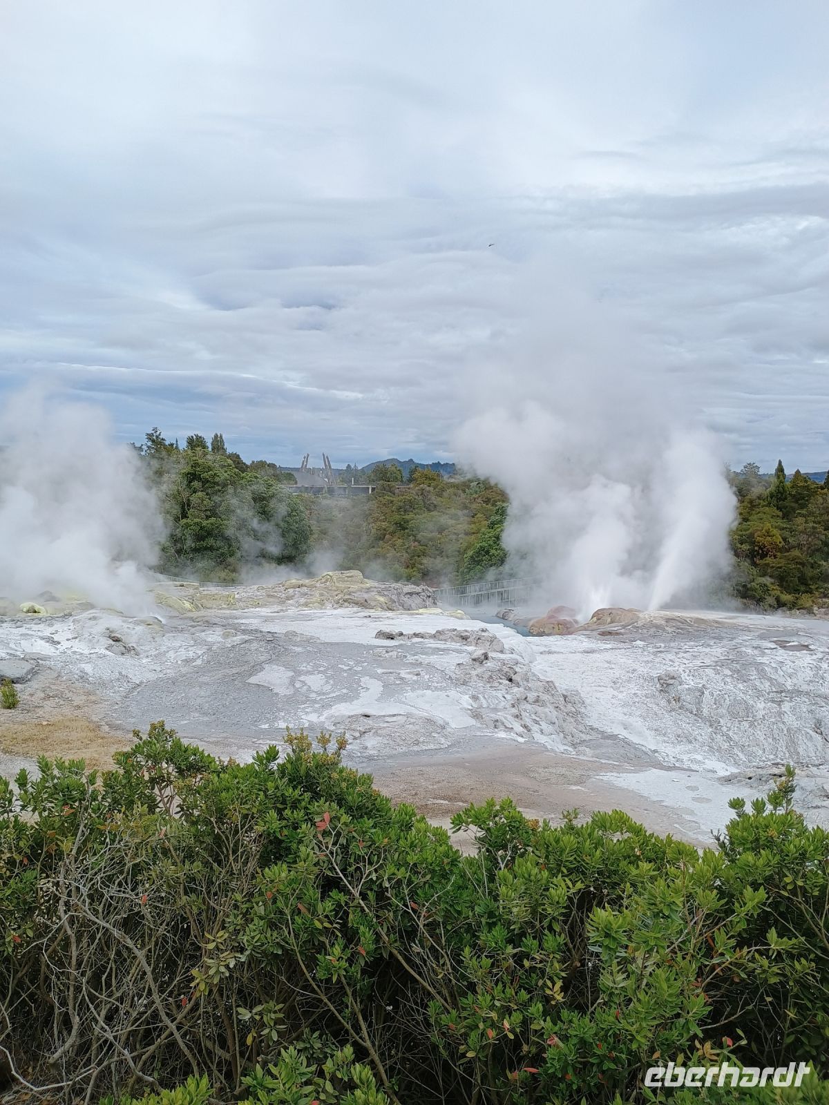 Rotorua