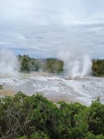 Rotorua