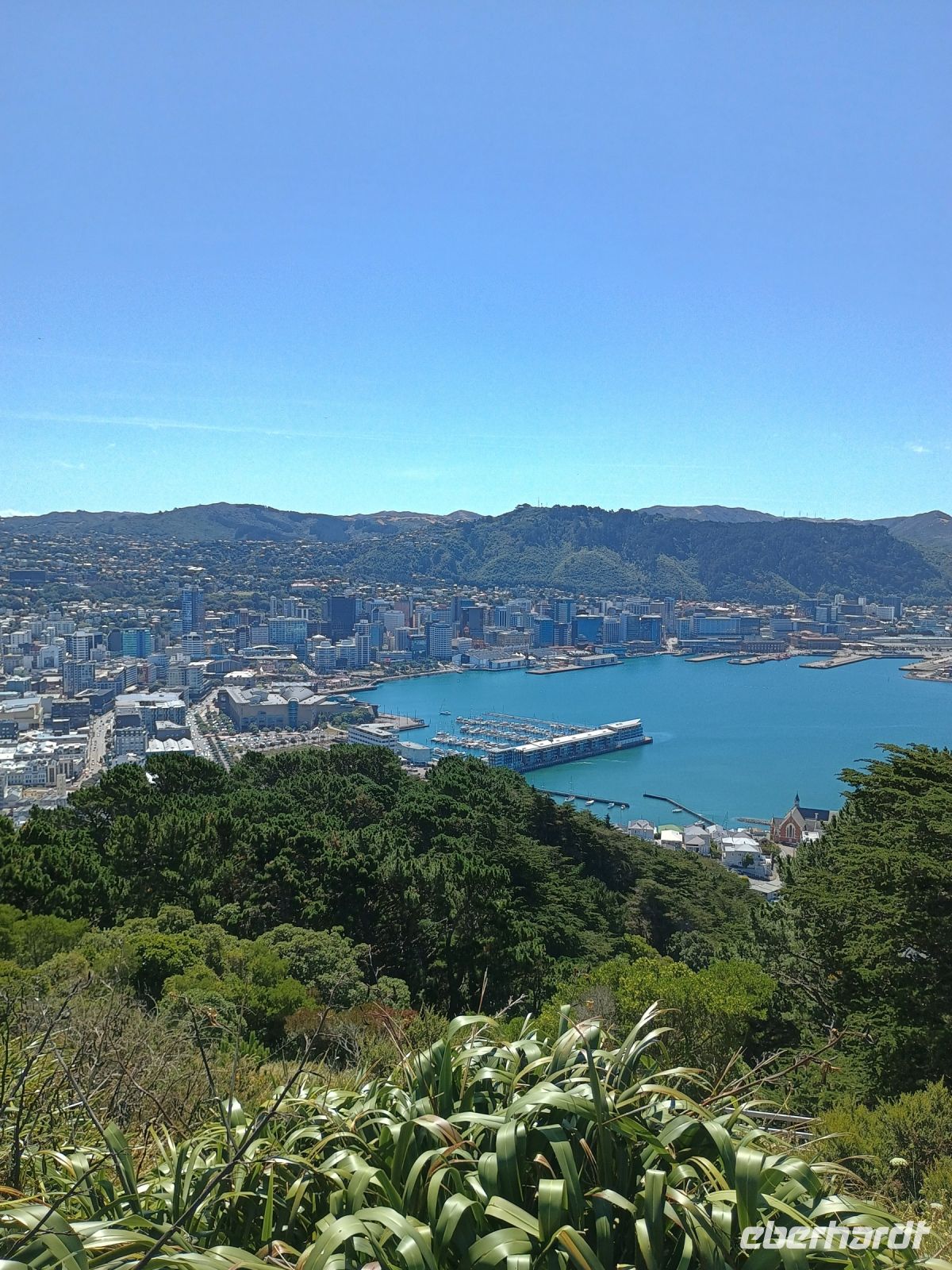 Wellington