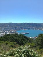 Wellington