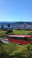 Wellington