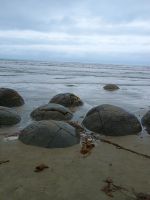Moreaki Boulders
