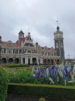 Dunedin