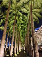 Palmenallee Marina Bay, Singapur 