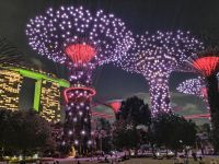 Gardens by the Bay, Singapur 
