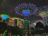 Gardens by the Bay, Singapur 