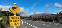 Achtung Kiwis im Tongariro-Nationalpark