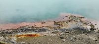 Thermalgebiet Wai-O-Tapu