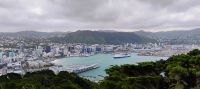 Wellington, Blick von Mount Victoria